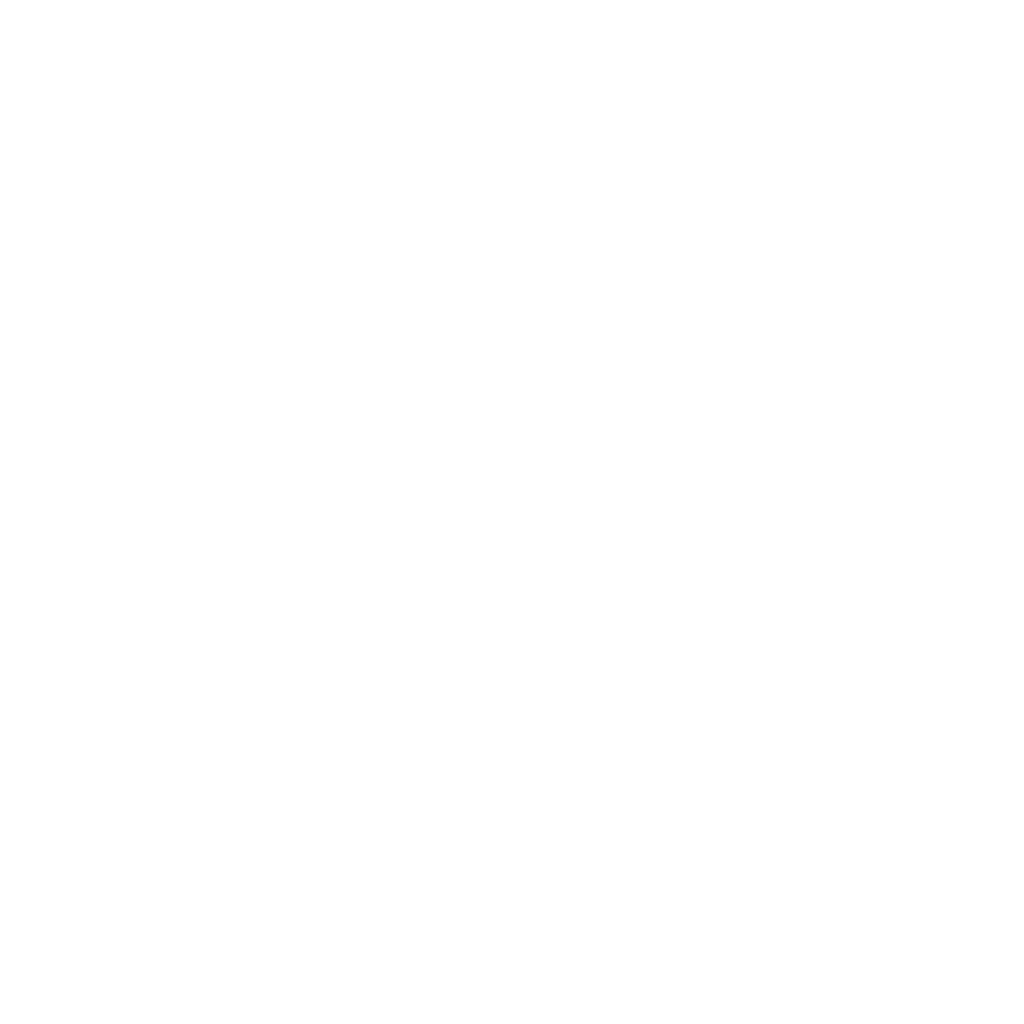 expertsoft - logo